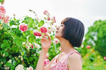 年年岁岁花相似的感慨怎么回（分享年龄的唯美句子）