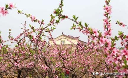 形容男人风流多情的诗句（讽刺男人沾花惹草的话）