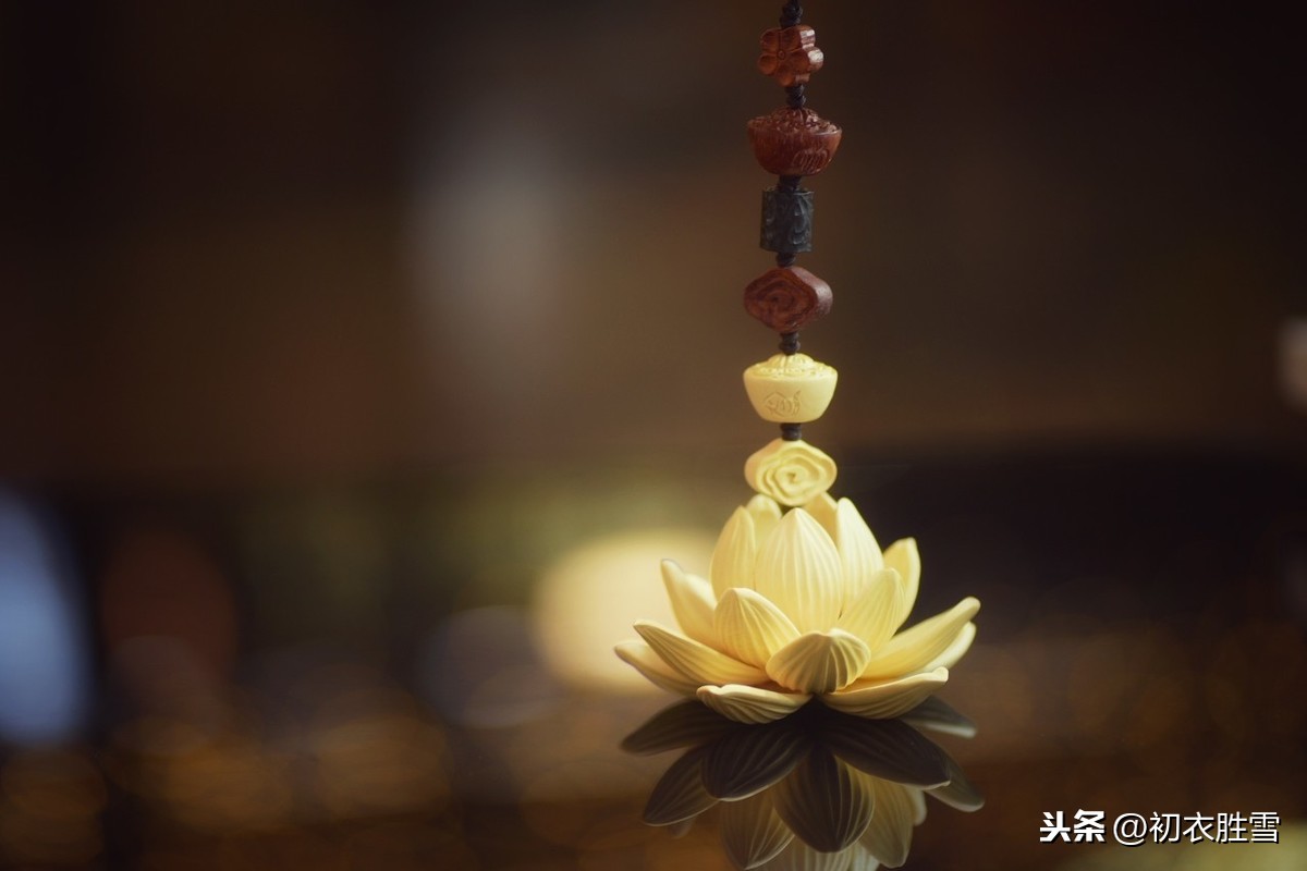 佛家赞美莲花的诗句（莲花最有禅意的句子）