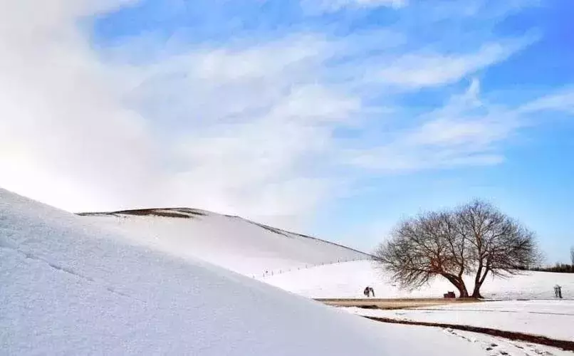 关于冬雪的诗句有哪些（描写冬雪的优美诗词）