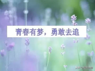 有教育意义的故事短篇（正能量励志故事及感悟）