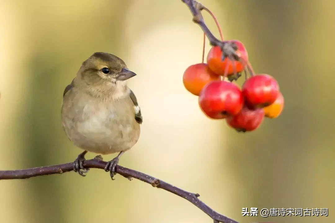 励志古诗词名言名句（八个字激励短句）