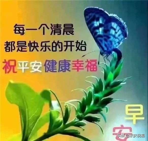 问早上好的句子和图片（最幽默的问早上好的句子）