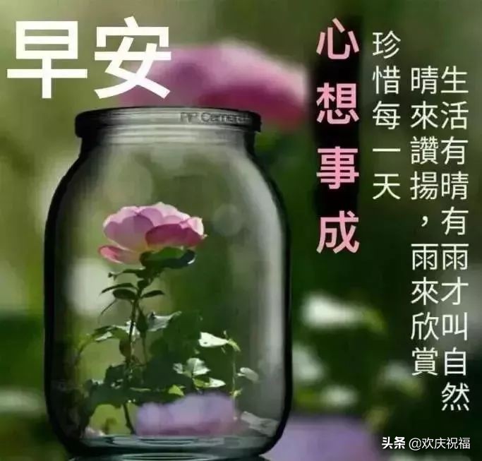 问早上好的句子和图片（最幽默的问早上好的句子）