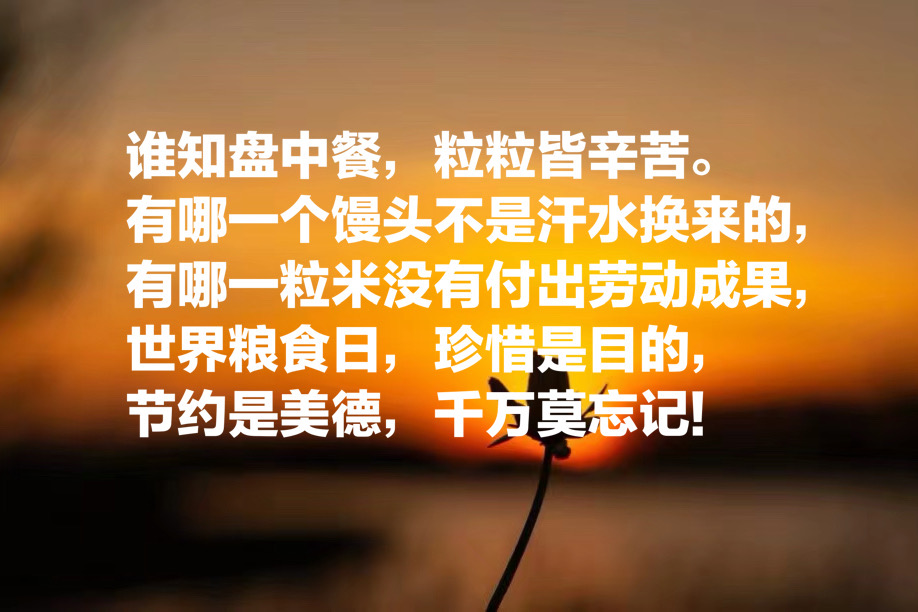 节约粮食的文采句子（关于珍惜粮食的一段话）