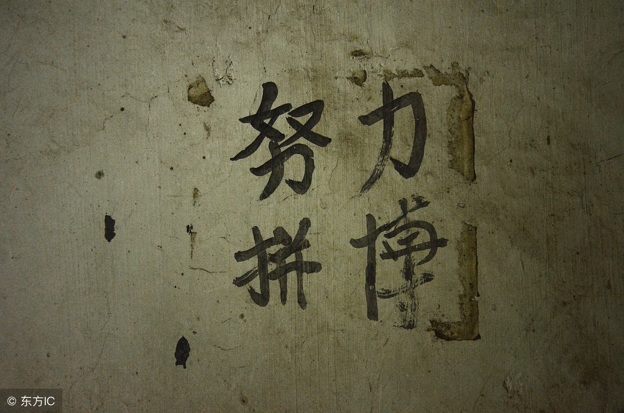 感慨快节奏的生活句子（生活节奏太快的感悟）