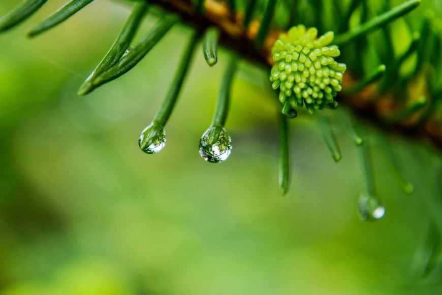 有关雨的诗句及情感（下雨天的撩人情话）