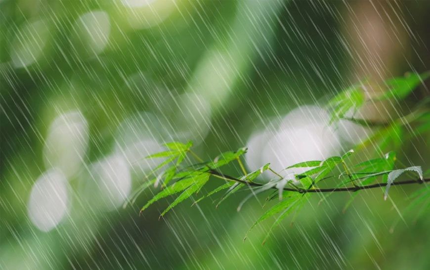 有关雨的诗句及情感（下雨天的撩人情话）