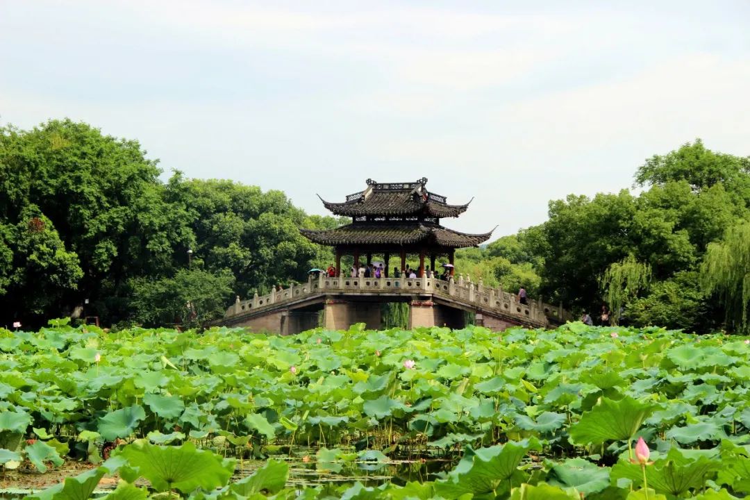 描写夏天的古诗（	关于春夏秋冬的诗句）