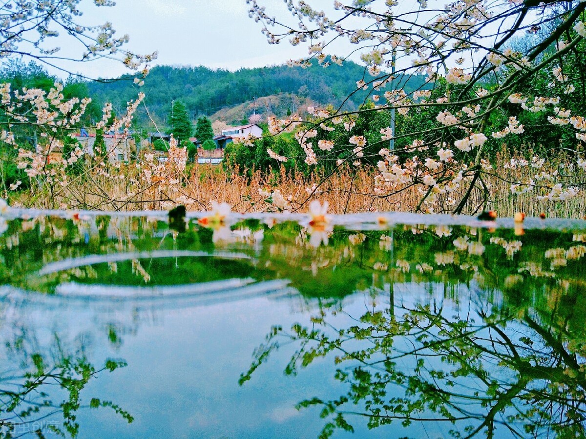杜甫描写春天的诗句（归园田居其一景物描写赏析）