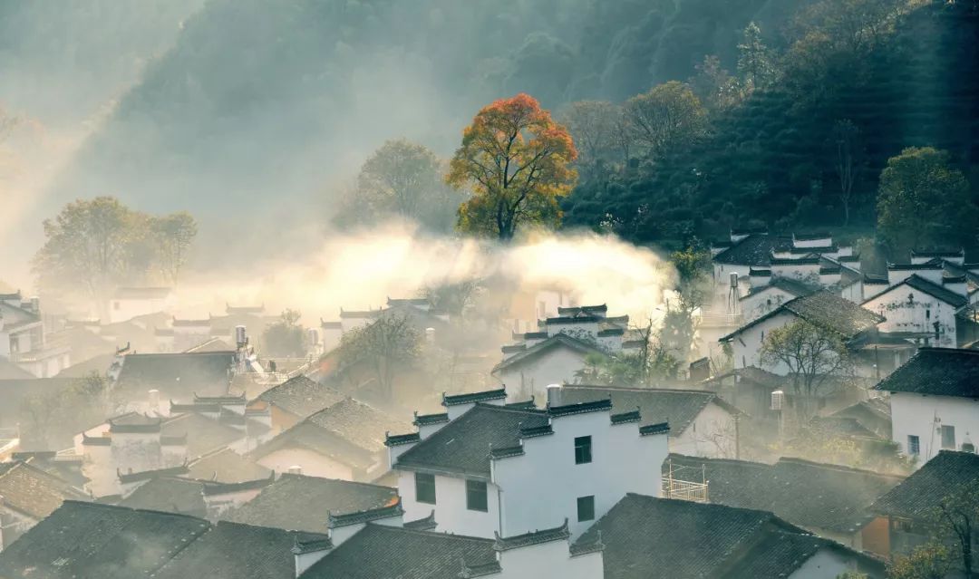 描写乡村田园的诗句（最著名的9首田园诗）