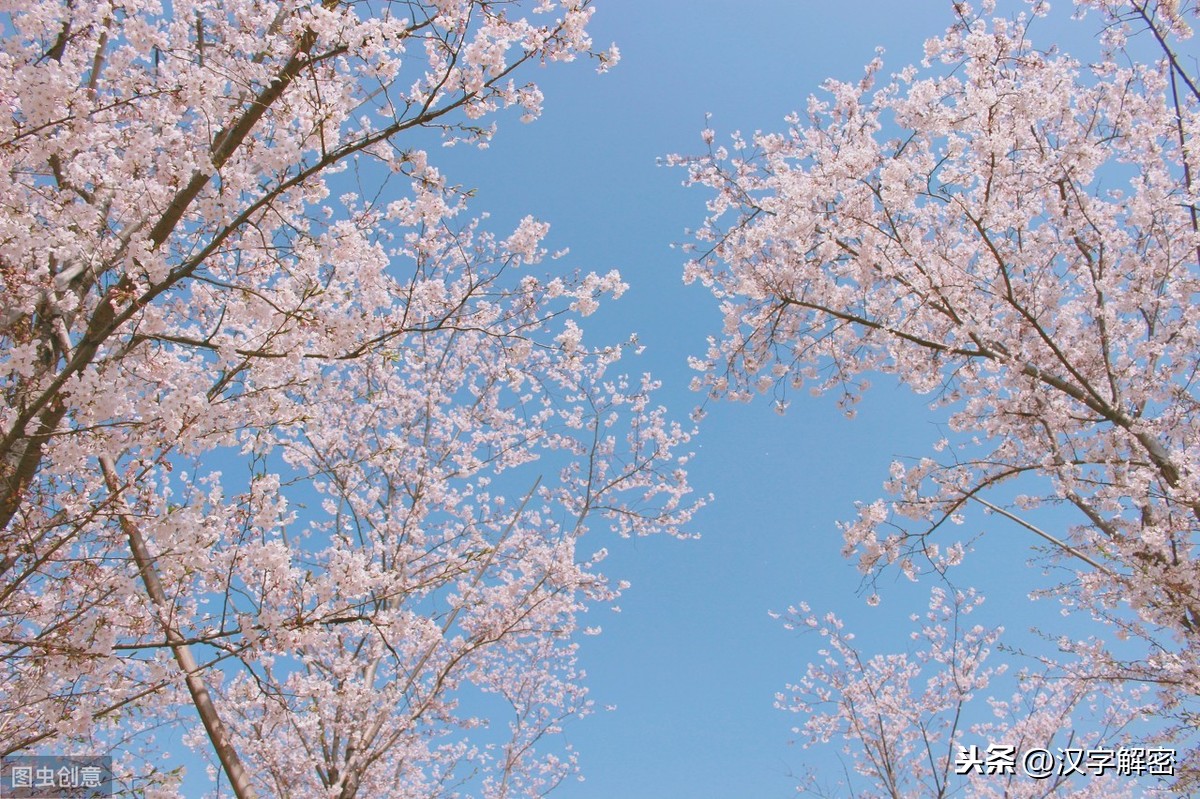 写风的诗句有哪些（摘抄15条关于风的诗句）