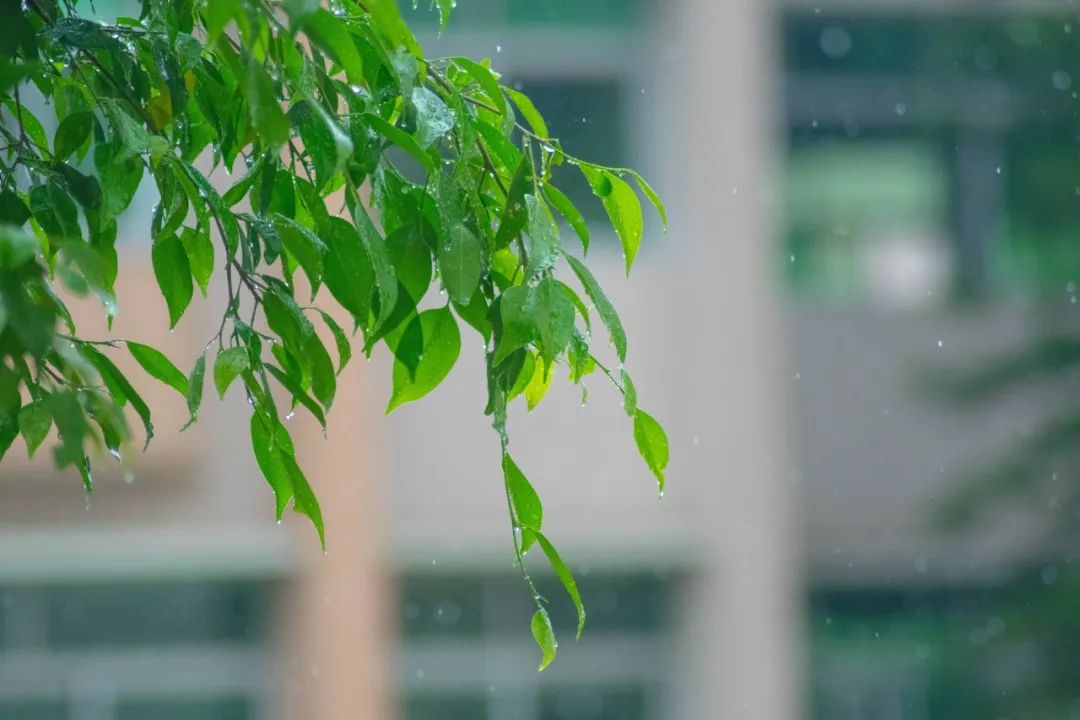 关于雨的古诗有哪些（20首描写雨景的唯美古诗）