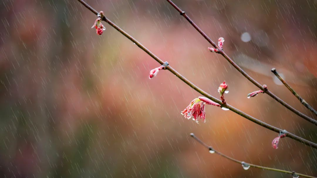 关于雨的诗词名篇（写雨的现代诗歌）