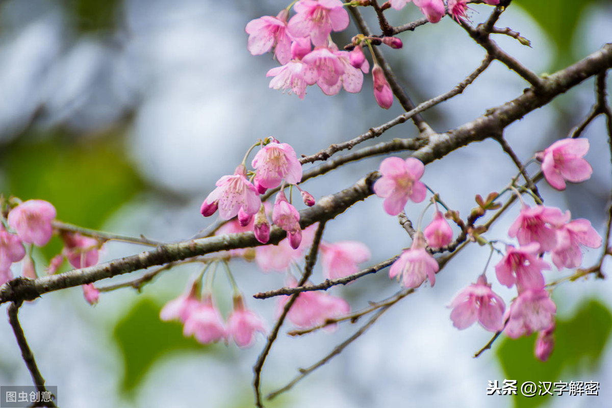 关于风的诗词名句（含风字的飞花令诗句）