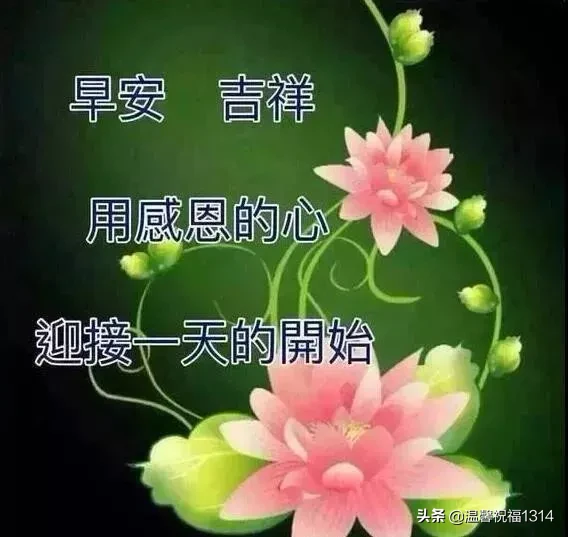 祝福简短唯美句子（关于祝福的唯美句子大全）