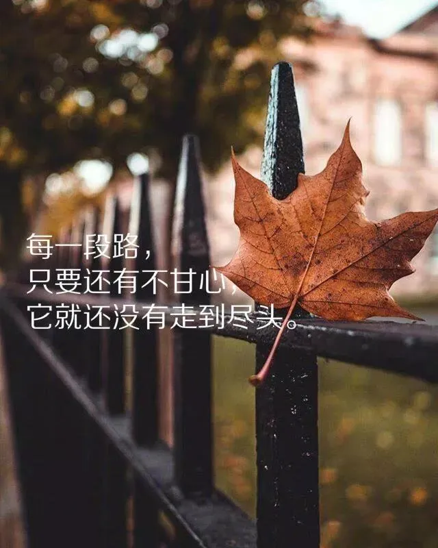 阴雨绵绵的心情说说（雨天幽默正能量的句子）