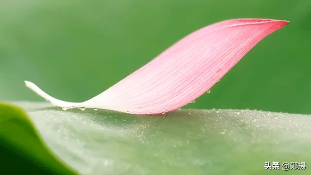 性格决定命运人生感悟（关于性格的经典语录）