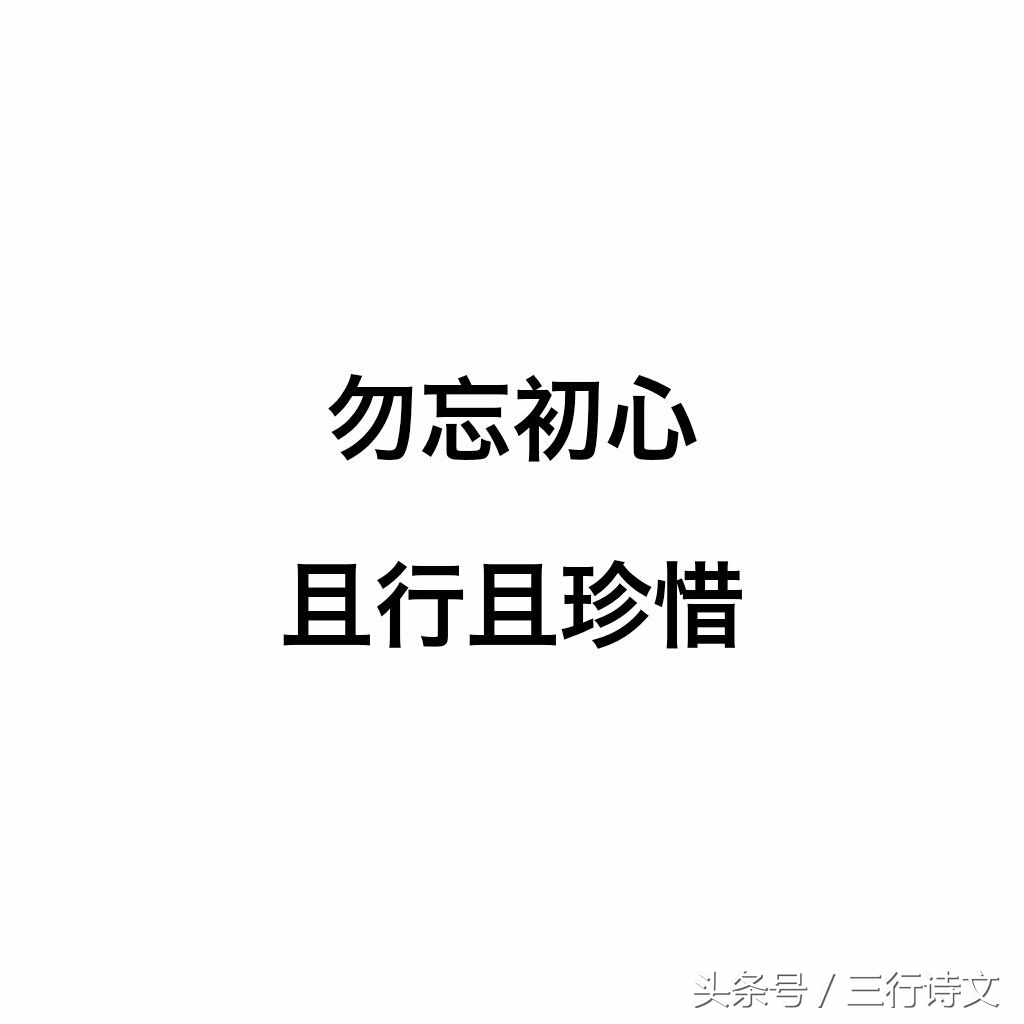 重回母校心情一句话（多年后重回母校心情感言）