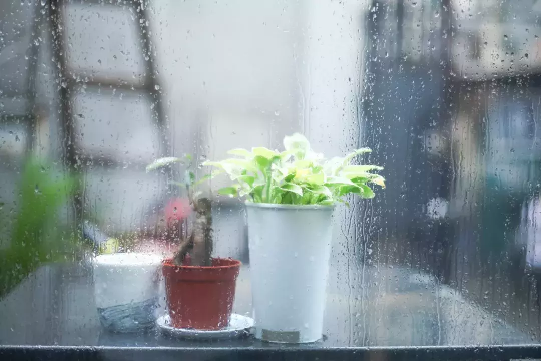 雨天激励的话诗句（下雨天激励业绩的话）