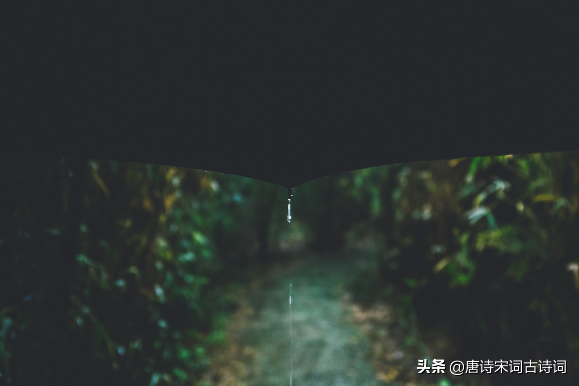 写雨的诗词名句有哪些（描写风雨的古诗词名句）