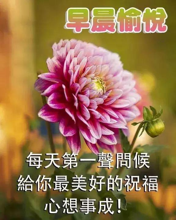 静心语录正能量（致自己心静的句子唯美）