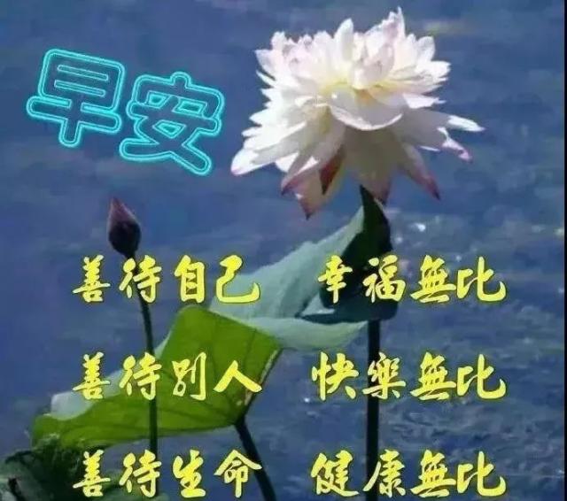 静心语录正能量（致自己心静的句子唯美）