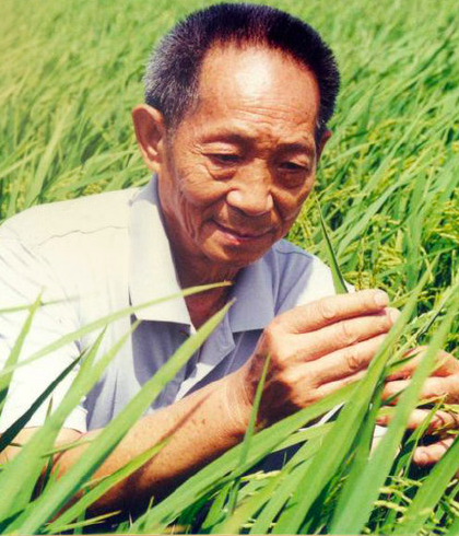 袁隆平雕像前布满花海（群众恸哭追悼袁隆平现场报道）