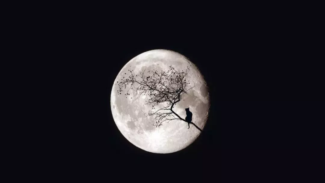 关于月亮的诗词有哪些（形容月亮很美的诗）
