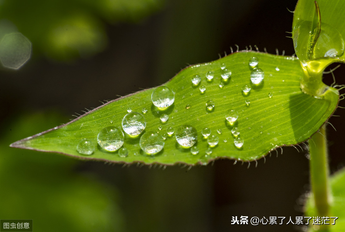 遇到对的人经典语录（很走心的干净短句）