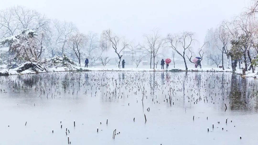 描写雪的诗句古诗大全（关于下雪的诗句古诗）