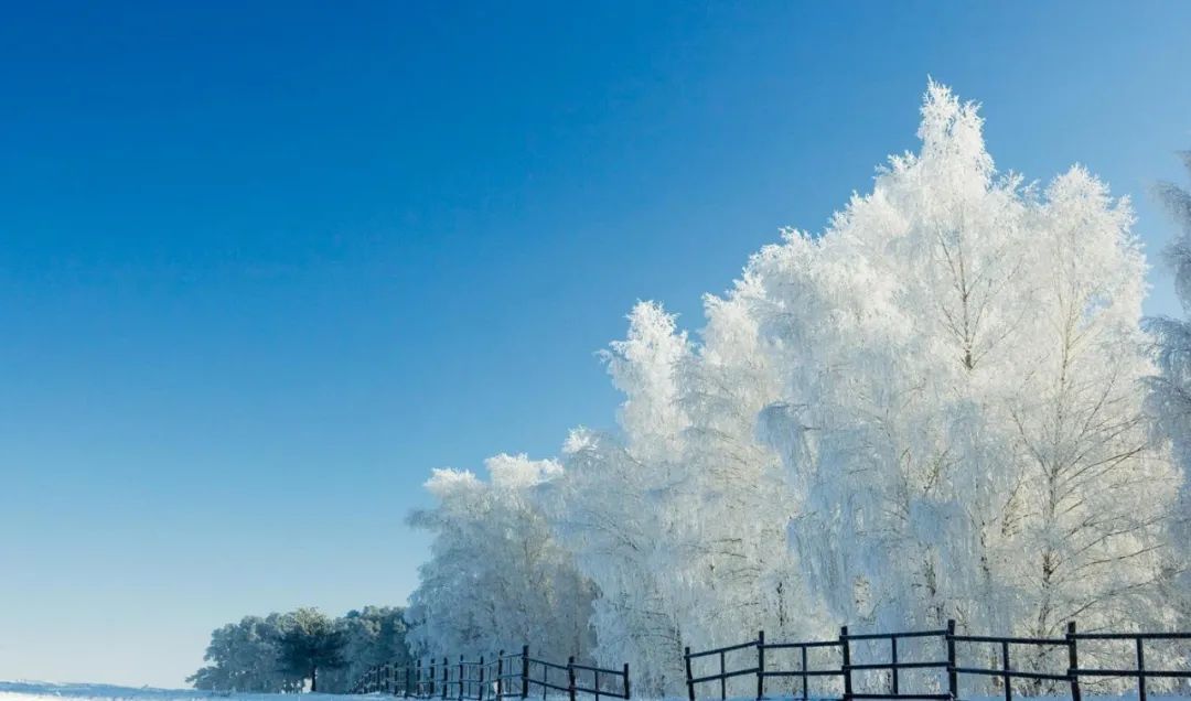 描写雪的诗句古诗大全（关于下雪的诗句古诗）