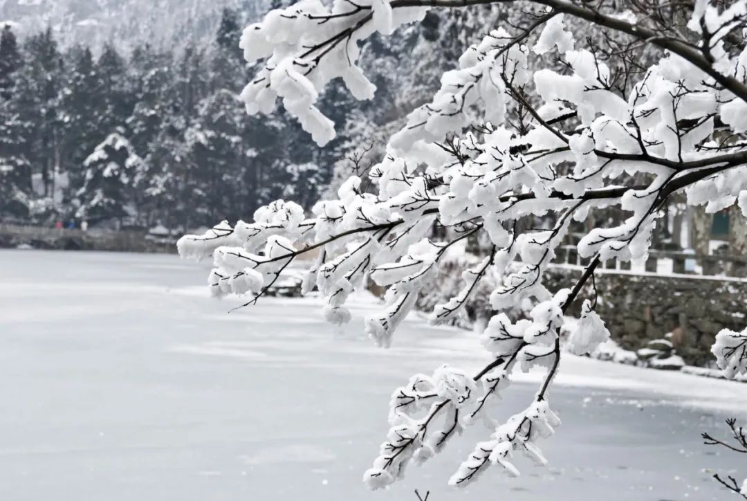 描写雪的诗句古诗大全（关于下雪的诗句古诗）