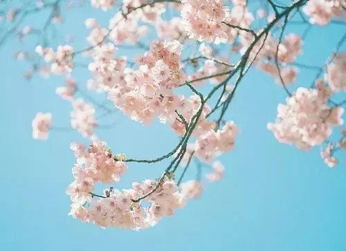 不后悔的句子说说心情（各自安好不再打扰说说）