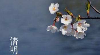 关于清明节的句子有哪些（清明节优美段落摘抄）