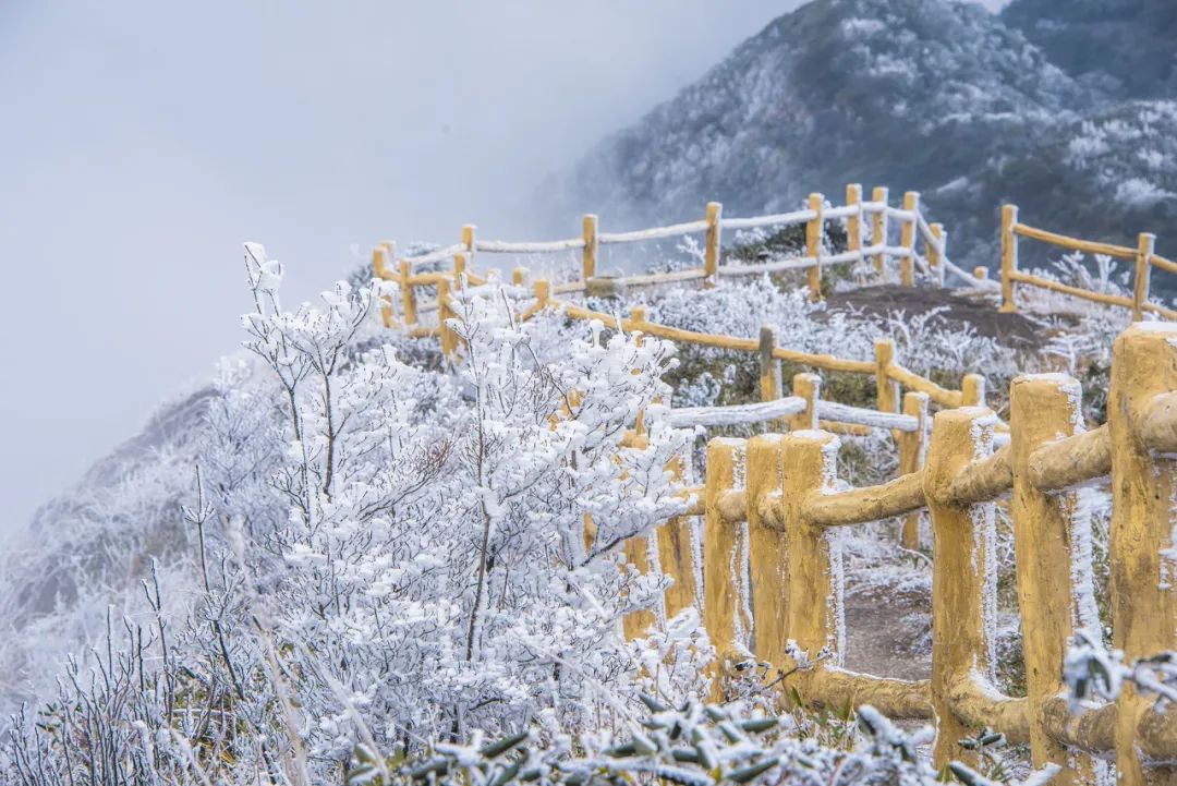 描写雪的诗句有哪些（雪的经典唯美诗句）