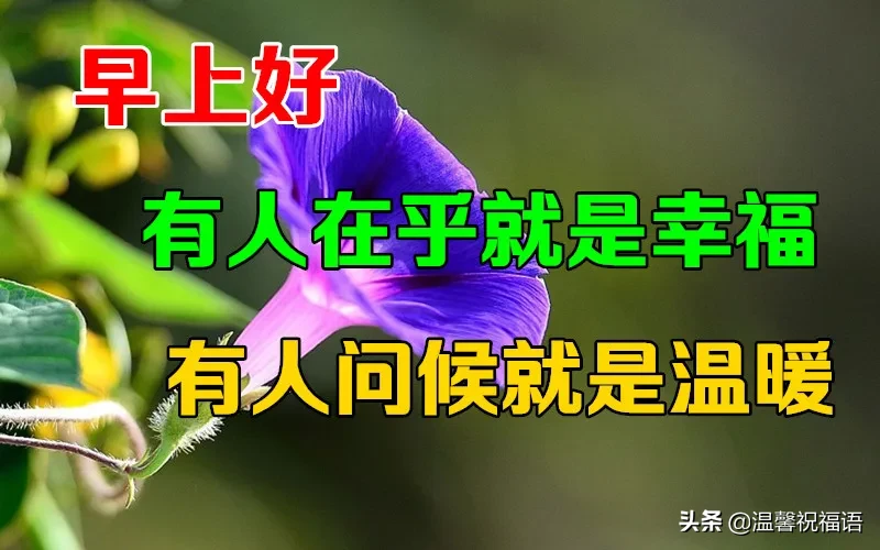 认识朋友一种缘分句子（遇见是一种缘分的短语）