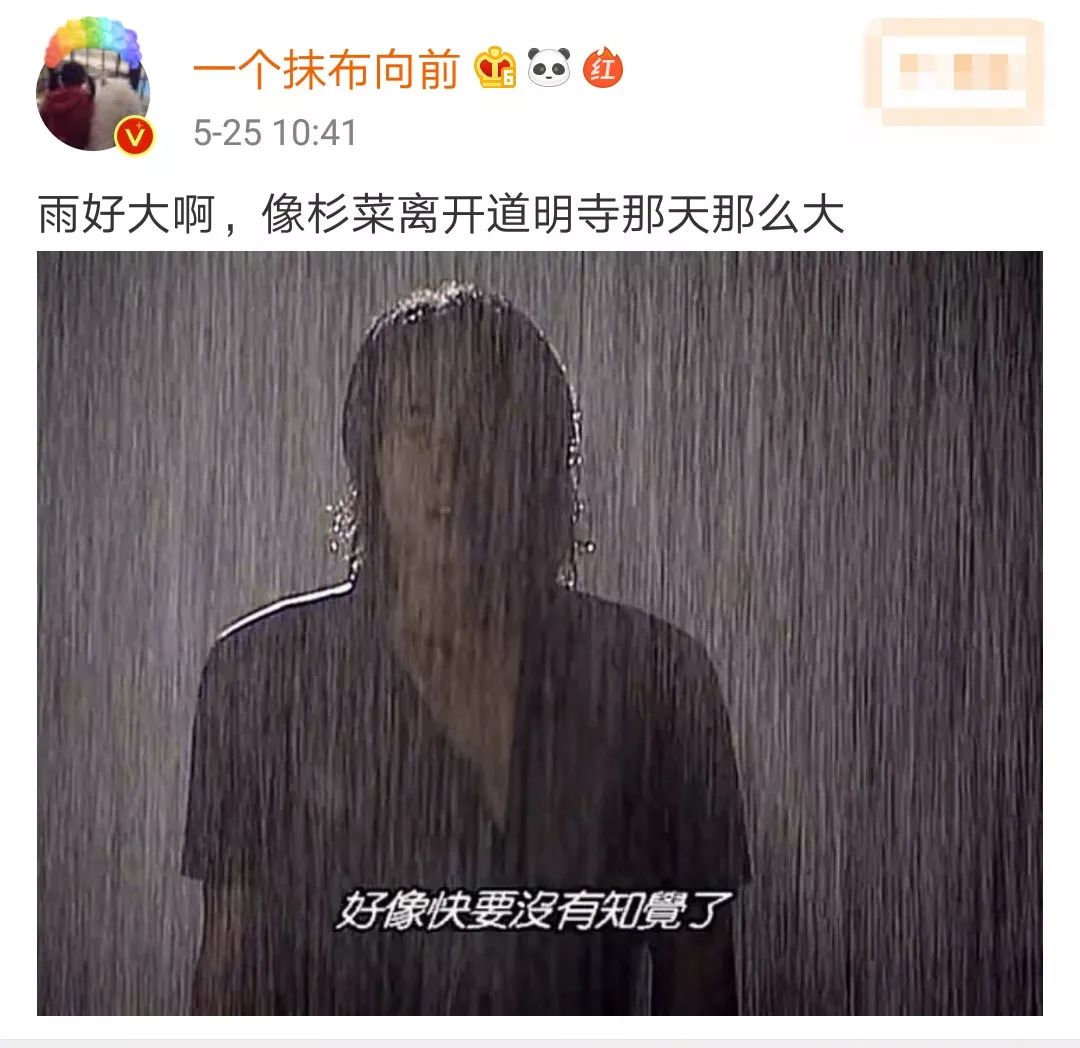 形容雨大的一段话（下雨的有意境的短句子）