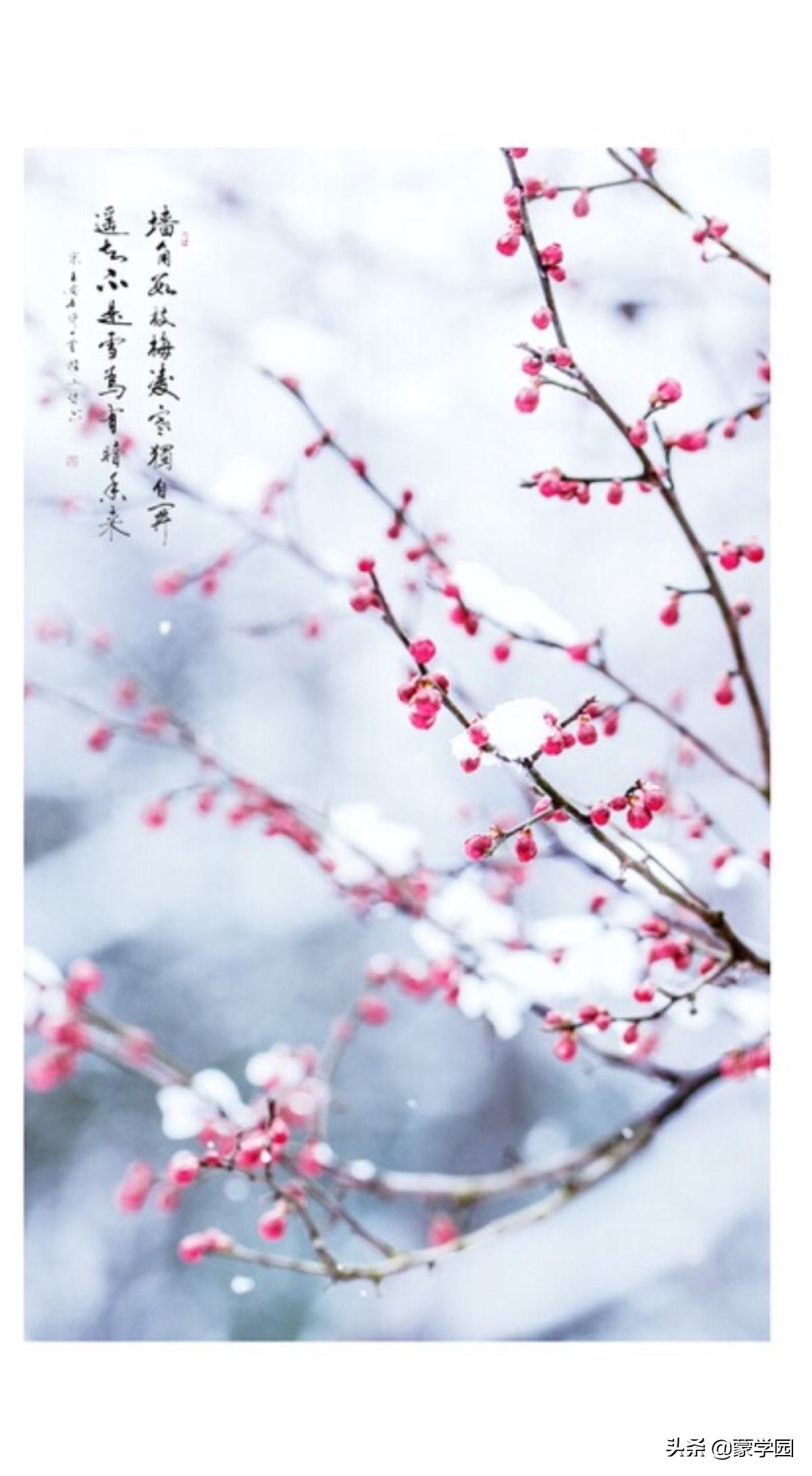 有关春天的诗句名言（描写春天的优美短句）