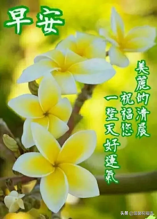 祝福的话简短唯美（阳光心态正能量的句子）