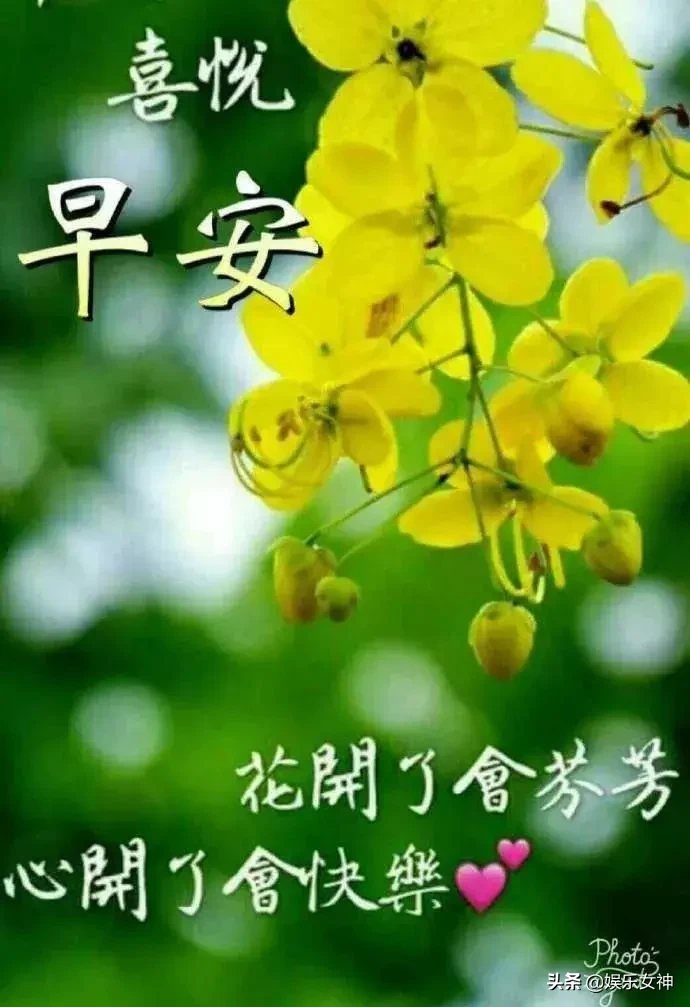 雨后的早晨唯美句子（享受雨后的心情短语）