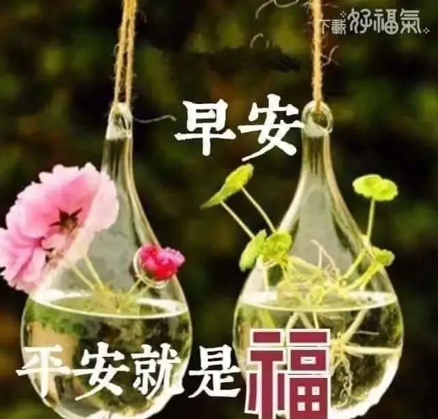 祝福平安的话语送朋友（经典暖心短句对老人）