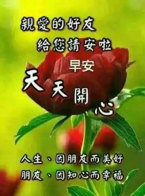 祝福平安的话语送朋友（经典暖心短句对老人）