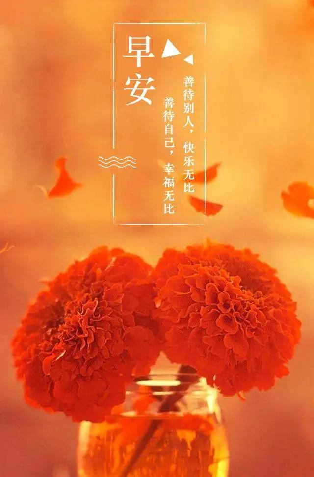 花带来的美好心情说说（表达看花的美好心情）