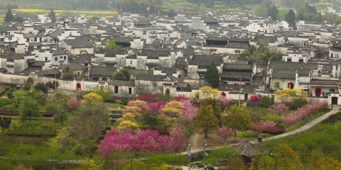 黄山的景色有哪些（黄山风景区十大景点）