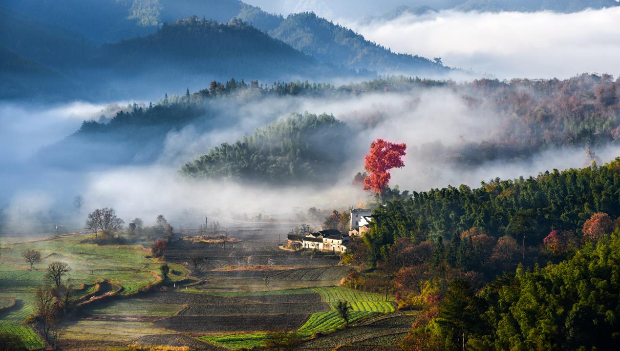 黄山的景色有哪些（黄山风景区十大景点）