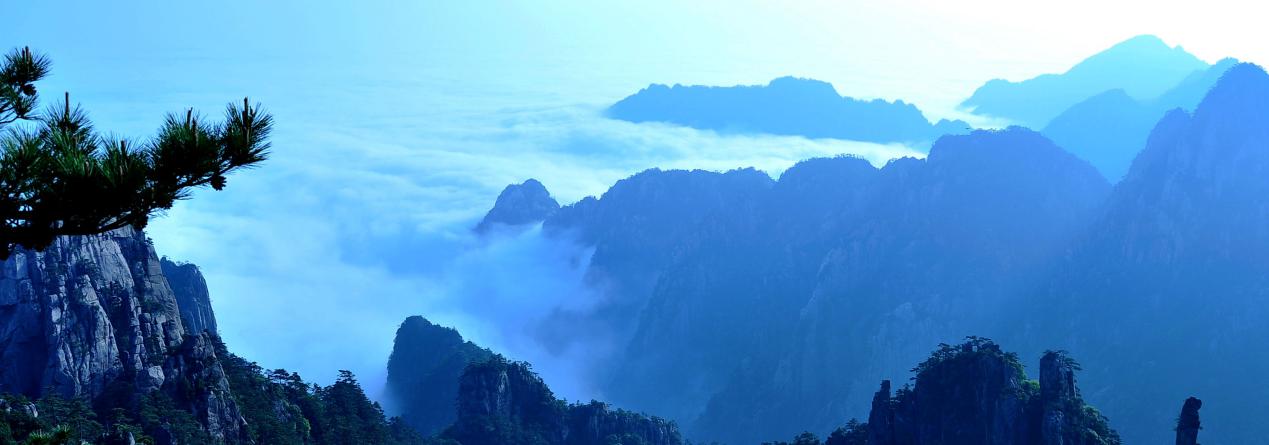 黄山的景色有哪些（黄山风景区十大景点）