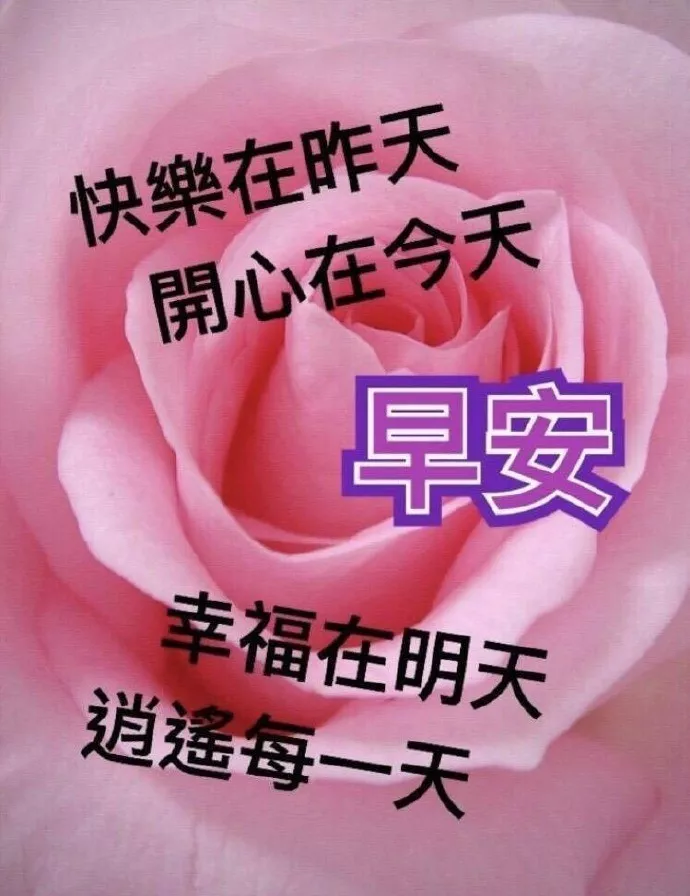 空气清新的唯美句子（一句简短的风景句子）