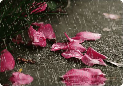 雨古诗词杜牧赏析（十首唯美唐宋雨诗赏析）