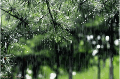 雨古诗词杜牧赏析（十首唯美唐宋雨诗赏析）